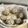 ぱんぱんこ's cooksnap of when they made しいたけの鶏ひき肉詰め蒸し.