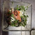 しょうこるん's cooksnap of when they made サーモンとクリームチーズと貝割れのサラダ.