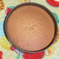 pinotaru's cooksnap of when they made 簡単☆しっとりスポンジケーキ.