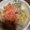 クックH86AFM☆'s cooksnap of when they made 吉野家の牛丼再現レシピ✨特盛が食べたい♡.