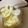 らん蘭's cooksnap of when they made バニラアイスに☆ヨーグルト！これうまい！.