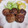 クッキングかぁ♡'s cooksnap of when they made 簡単！焼売風ひとくちソテー.