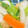 YU♡CO's cooksnap of when they made レンジで簡単　小松菜と竹輪の和え物.