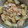 さとみんちゃちゃちゃ's cooksnap of when they made 冨岡義勇さんの好きな鮭大根＊鬼滅の刃＊.