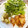 crispylove's cooksnap of when they made トースターで作る！揚げないから揚げ.