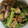 kinkinsan's cooksnap of when they made ナスとピーマンの味噌炒め.