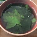すみっコ歯ブラシ's cooksnap of when they made 明日葉のお味噌汁.