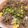 neeboo♬♪'s cooksnap of when they made 三色そぼろ丼.