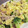 AirCat's cooksnap of when they made 豚肉とブロッコリーと卵のマヨ炒め.