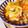 miemiemam's cooksnap of when they made 簡単♪さわらの南蛮漬け（揚げずに簡単）.