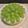 ほか弁ママ's cooksnap of when they made シャインマスカットのレアチーズケーキ.