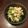 LILY☆JUN's cooksnap of when they made ♡ささみと豆苗のごまポンサラダ♡.