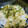 まーく71's cooksnap of when they made 簡単！ネギ卵丼.