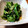 ばたみそーぱん☆'s cooksnap of when they made 5分で完成!!ニラとわかめのごま和え.