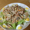 ☆na6284☆'s cooksnap of when they made ごぼうと人参の味噌マヨサラダ【作り置き】.