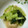hoehoe♡'s cooksnap of when they made 簡単小松菜の煮びたし.