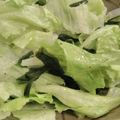 へのへのもへの's cooksnap of when they made ごま油と塩で✿レタスのシンプルサラダ.