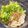 ねおみ's cooksnap of when they made パクチー納豆♡ぶっかけうどん♡.