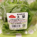 みっくママ's cooksnap of when they made ☆☆大葉のずぼら長期保存☆☆.