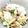 rie0x0's cooksnap of when they made カリフラワー炒め.