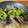 クックZLN3HE☆'s cooksnap of when they made ナスのはさみ揚げ（夕飯＆お弁当用）.