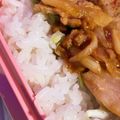 ふぁんころ's cooksnap of when they made 弁当のごはん（白飯）.