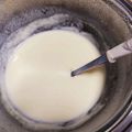 ほげほげ22's cooksnap of when they made 我が家の色々使える☆チーズソース☆.