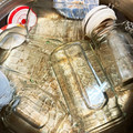 horseland's cooksnap of when they made 保存瓶の煮沸消毒方法.