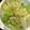 ウパコ02's cooksnap of when they made 1週間は平気!レタスの保存に50℃洗い.