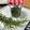 mana293's cooksnap of when they made ローズマリーの保存方法.