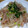 クックJOEさん's cooksnap of when they made 節約食材で！もやしと豚こまの中華風炒め.