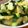かし。's cooksnap of when they made きゅうり#大量消費#大人数.