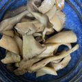 手抜きクック's cooksnap of when they made きのこの塩胡椒焼き☆ポン酢orレモン汁で.