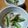 tamispada's cooksnap of when they made オクラのたらこ和え.