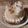 クックMVXCM0☆'s cooksnap of when they made キャラメルムースケーキ.
