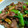 ちーまぐ's cooksnap of when they made 小松菜と砂肝のオイスターソース炒め.