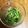 クックODMXA7☆'s cooksnap of when they made いんげんの胡麻あえ.
