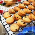 ♪しんちんぐ～♪'s cooksnap of when they made Ψバニラと胡桃のクッキーΨ.