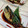 カナかおり's cooksnap of when they made 15分で簡単！アジの梅煮.