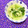 ふたごゆき's cooksnap of when they made 小松菜と卵の中華風黒酢スープ.