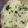 ぱくぱく1127's cooksnap of when they made 鉄分摂ってね☆小松菜おにぎり.