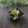 まろんかふぇ's cooksnap of when they made にらとさつま揚げの中華風ナムル.