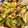 それいゆ★'s cooksnap of when they made レタスとニラの卵炒め.