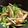TYSK's cooksnap of when they made ＊水菜の簡単きのこドレッシングサラダ＊.