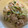 R2016's cooksnap of when they made もやしときゅうりの豚しゃぶサラダ.