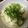 けいす's cooksnap of when they made 暑い夏に！ギンギンに冷えた白だし豆腐.