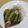 ラリー＆サラ's cooksnap of when they made 摘果メロンのニンニクたまり醤油漬け.