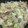 くるみちる's cooksnap of when they made 今晩のおかずに！旨すぎ肉野菜炒め♪.