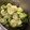 クックU4EDUM☆'s cooksnap of when they made ドデカ『きゅうりのきゅうちゃん』風.