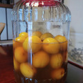 野菜大好きミーバ☆'s cooksnap of when they made 完熟梅の甘酢漬け.